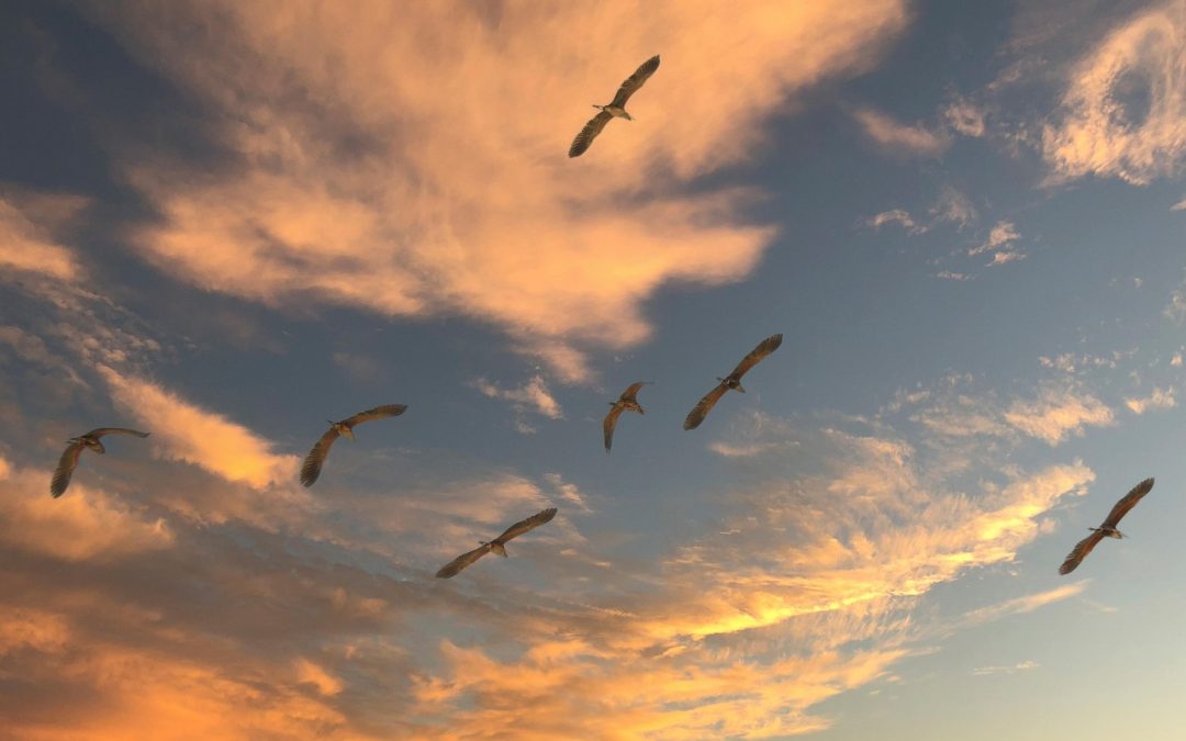 Upaya Meningkatkan Kepuasan Masyarakat terhadap Layanan Imigrasi Lampung Barat