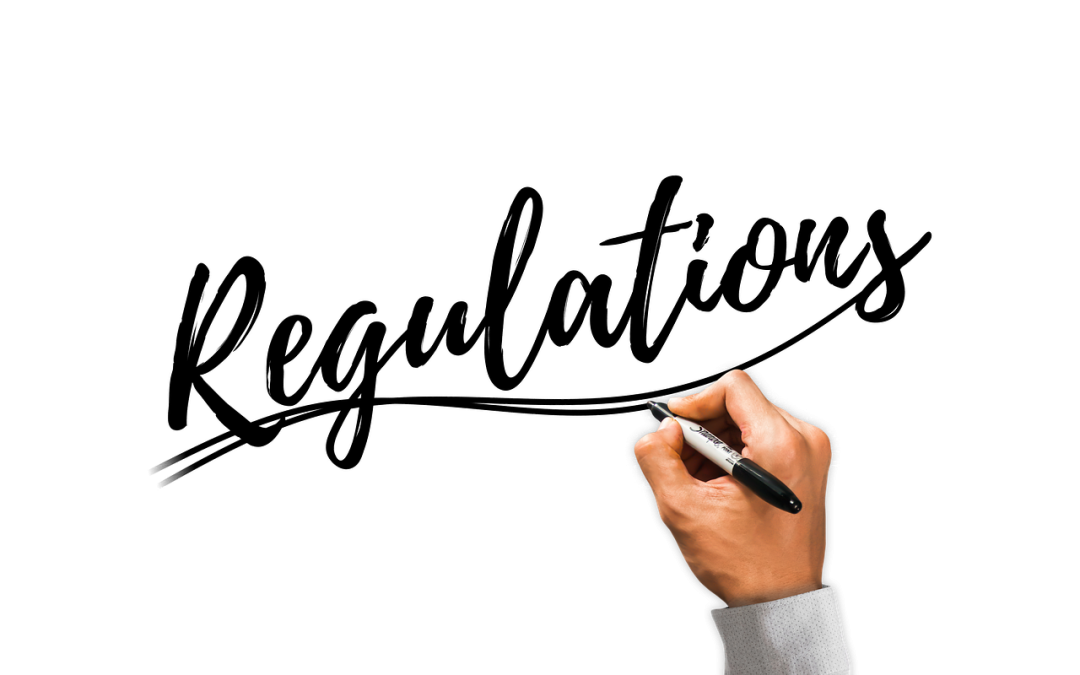 Tantangan dan Peluang Transformasi Digital di Imigrasi Lampung Barat