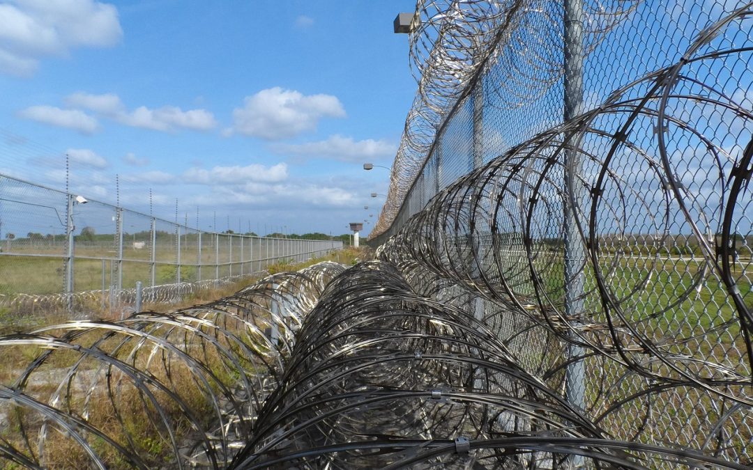 Strategi Holistik untuk Mengatasi Tantangan dalam Transformasi Digital Imigrasi Lampung Barat