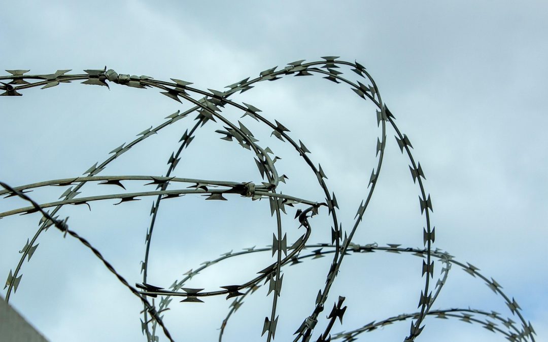 Contextualizing Digital Transformation in Lampung Barat’s Immigration Procedures